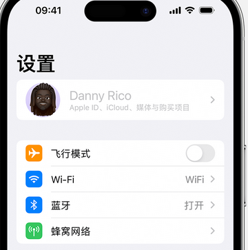 东台appleID维修服务iPhone设置中Apple ID显示为灰色无法使用 