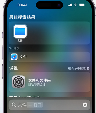 东台apple维修中心分享iPhone文件应用中存储和找到下载文件 