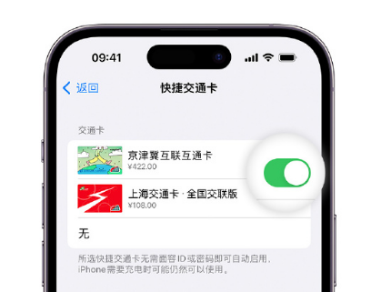 东台apple维修点分享iPhone上更换Apple Pay快捷交通卡手绘卡面 