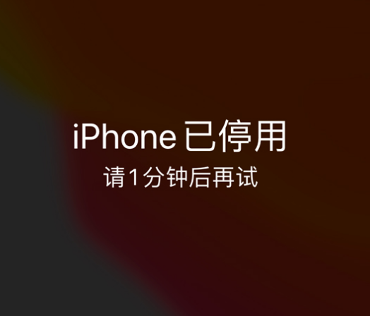 东台苹果手机维修分享:iPhone 显示“不可用”或“已停用”怎么办？还能保留数据吗？ 