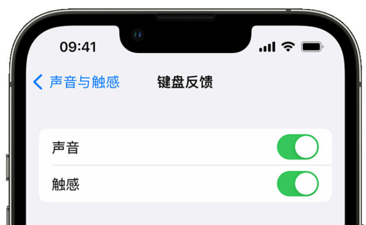 东台苹果手机维修分享iPhone 14触感键盘使用方法 