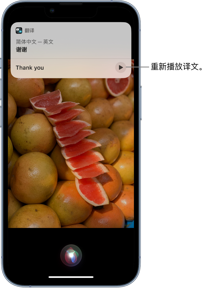 东台苹果14维修分享 iPhone 14 机型中使用 Siri：了解 Siri 能帮你做什么 