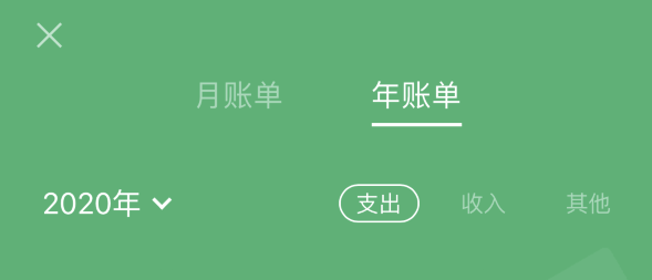 东台苹果手机维修分享如何在 iPhone 上查看支付宝和微信年支出账单 