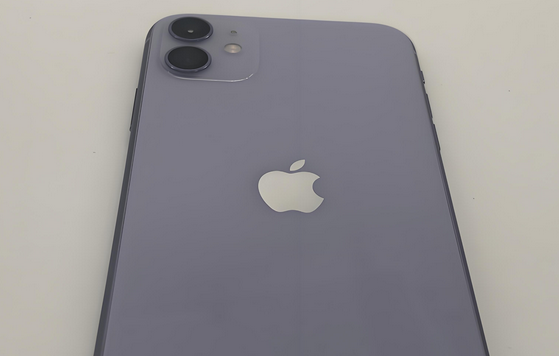 东台苹果11系统维修分享iPhone11手机系统崩溃无法开机如何解决 